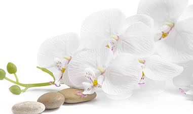 会員制度に関する画像